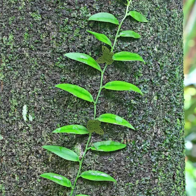 Ganchos autoadhesivos para clips de plantas