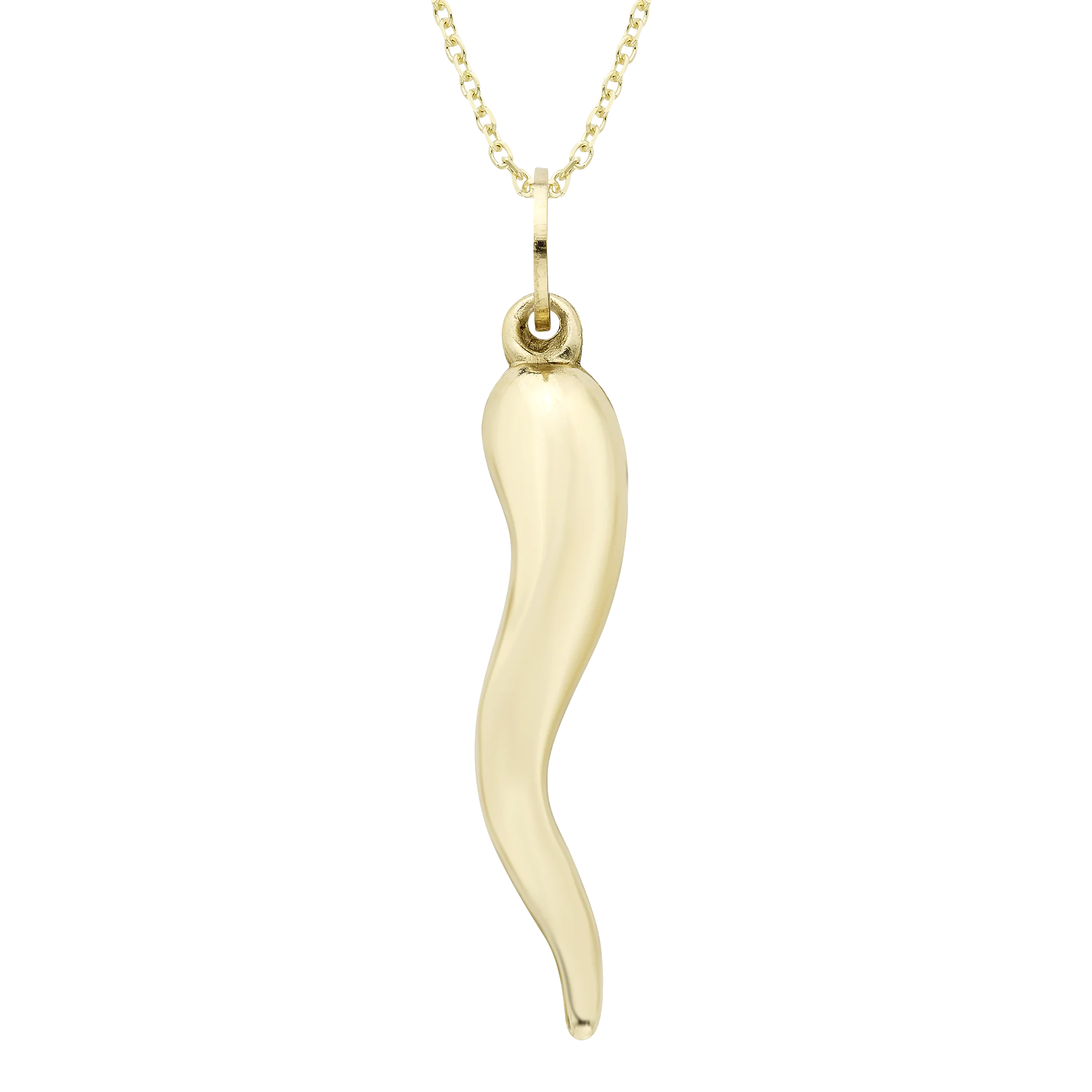 Gold Horn Charm Necklace