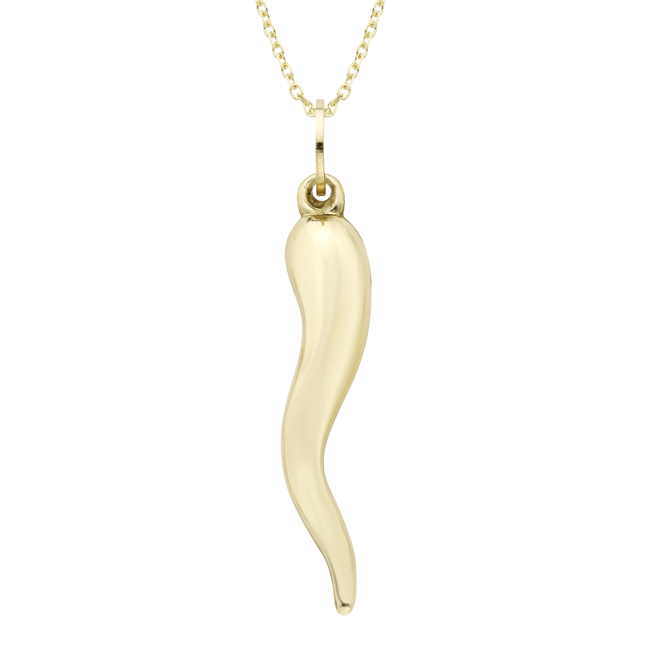 Gold Horn Charm Necklace