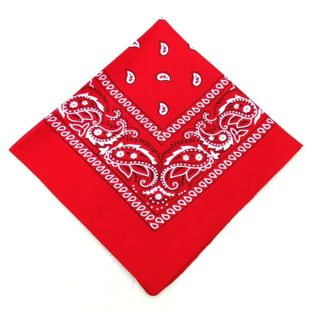 23 Styles Hip Hop Bandana