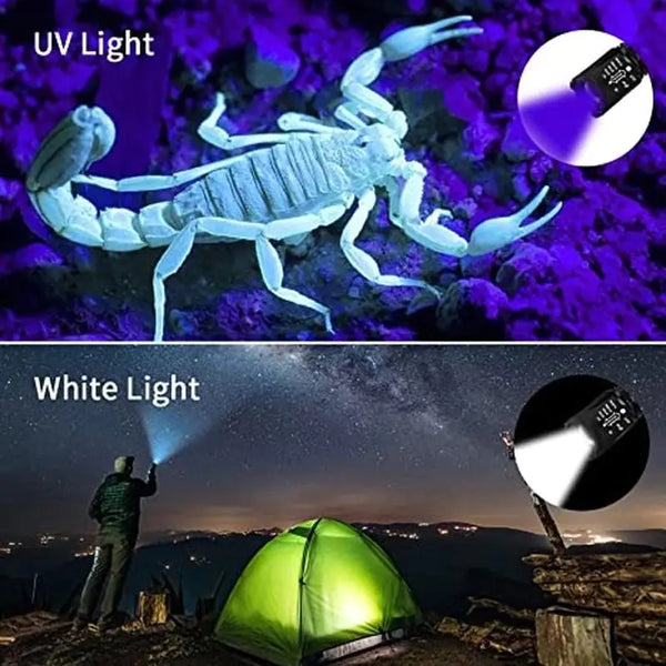 Purple White Dual Light Flashlight LED Ultraviolet Torch Zoom Retractable