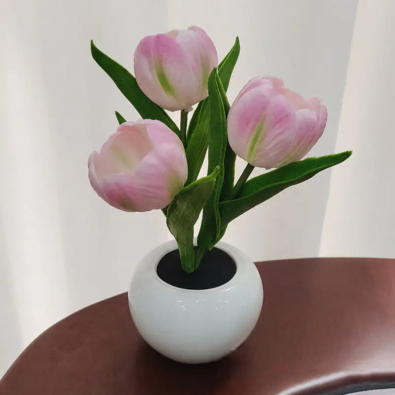 Bonsai Tulips Nightlight