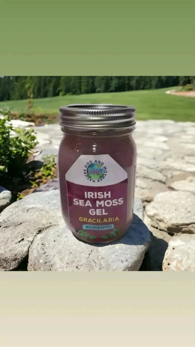 Gel de musgo marino de Irlanda, "GRACILARA"