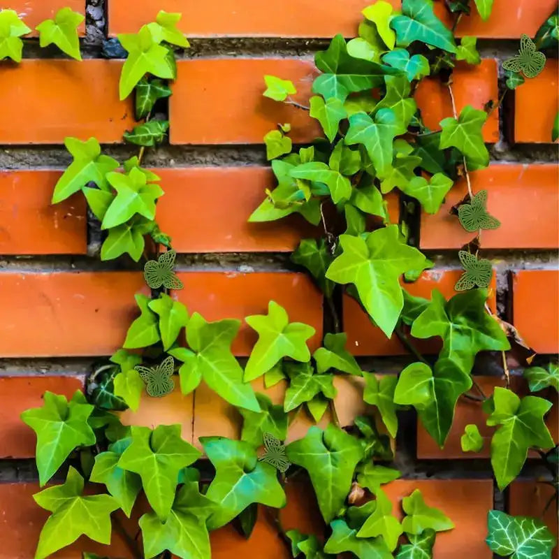 Ganchos autoadhesivos para clips de plantas