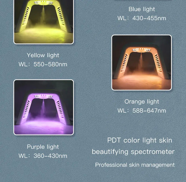 Máscara de terapia facial LED