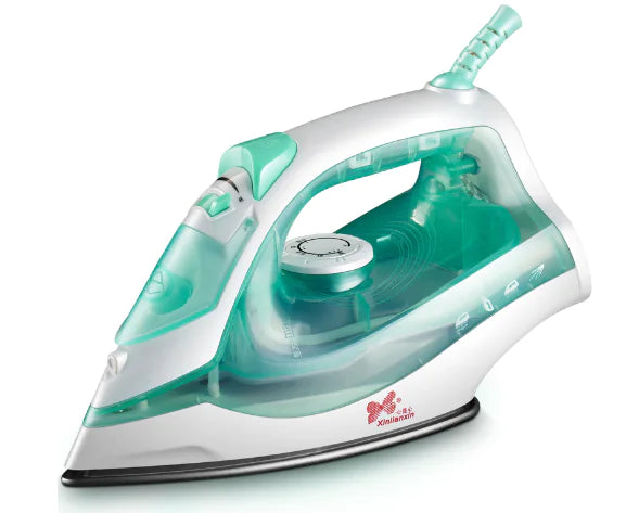 Mini Garment Steamer Iron