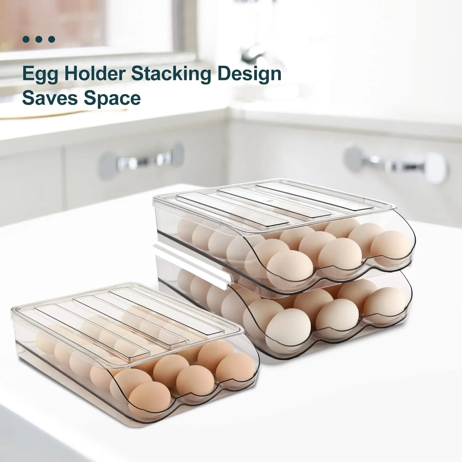 Egg Holder