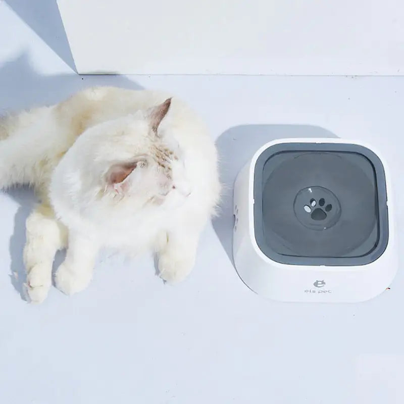 Floating Water Bowl-Your Pet