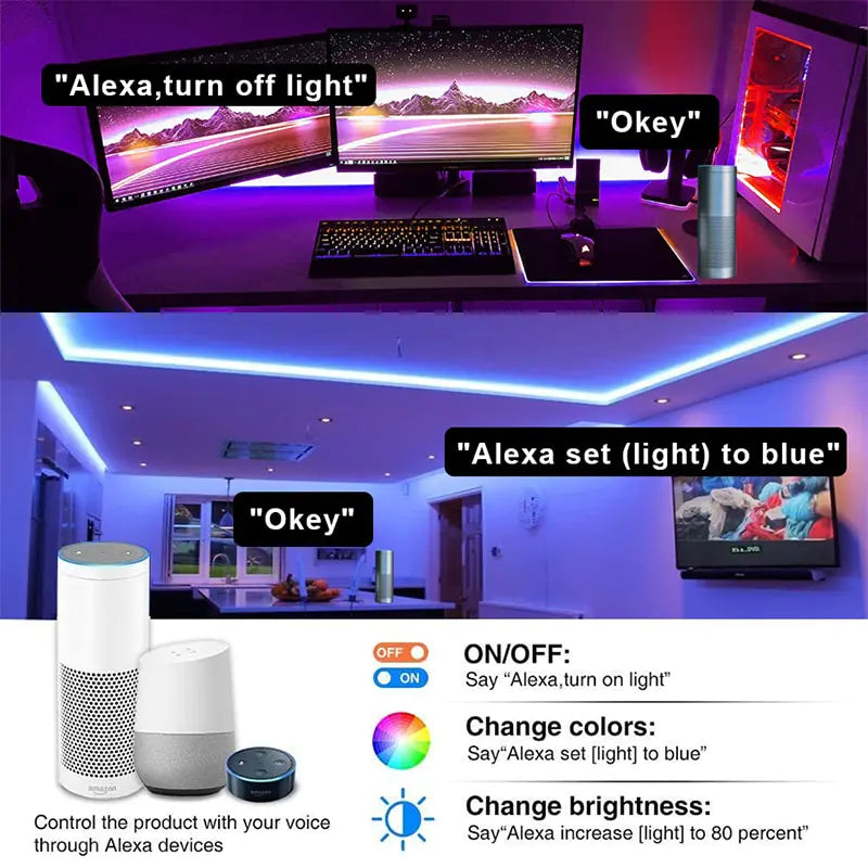 Voice Control LED Strip Lights