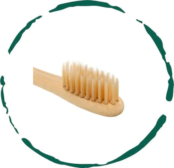 bamboo toothbrush, toothbrush bamboo, toothbrushes bamboo, bamboo electric toothbrush, electric bamboo toothbrush, bamboo electric toothbrush heads,	 bamboo toothbrush heads