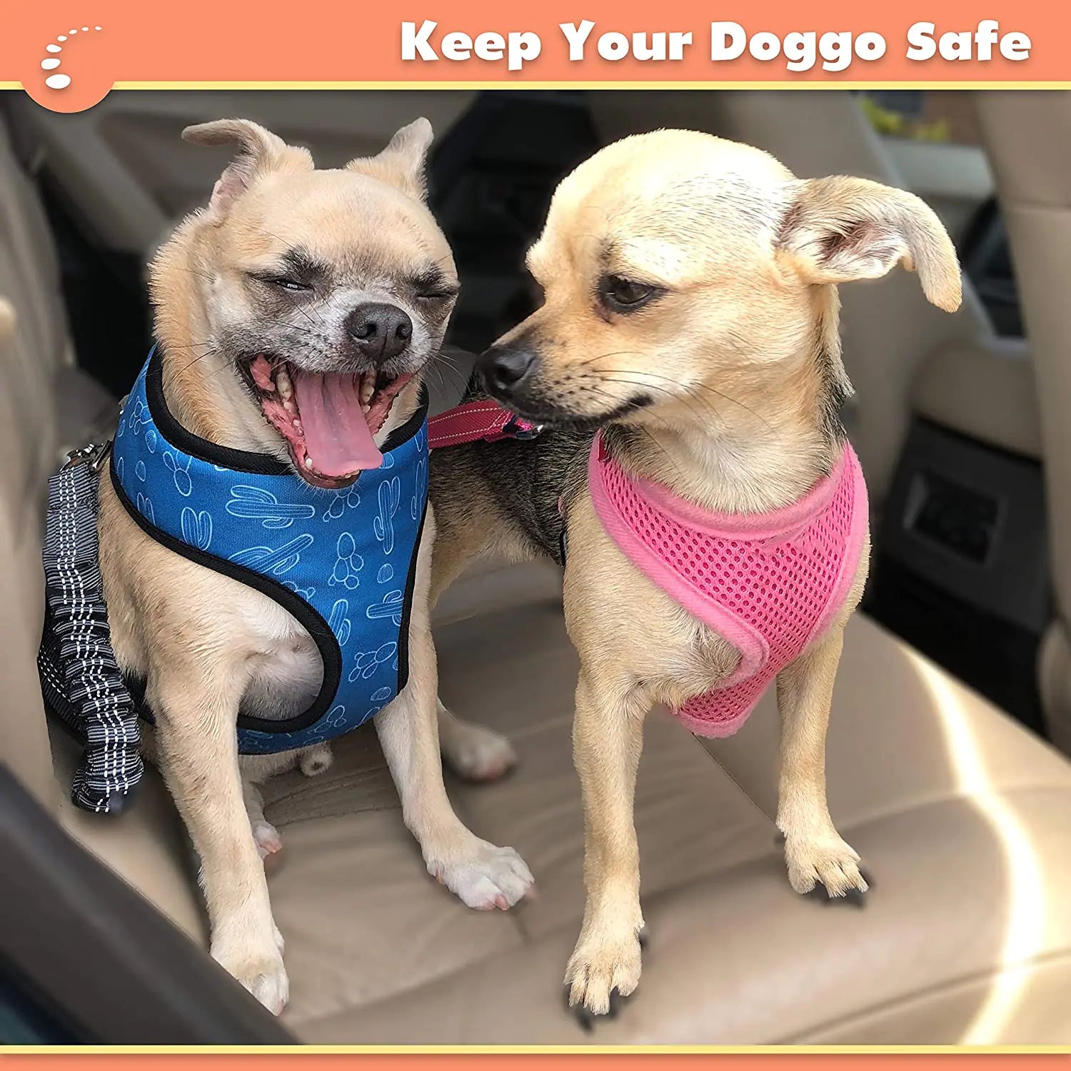 pet supply  car accessory  dog harness for small dogs  small dog harness  small dog harnesses  dog seatbelt harness  best dog harness for small dogs  best small dog harness  best small dog harnesses  harness for small dogs  dog restraint car  adjustable dog harnesses  adjustable harness for dogs